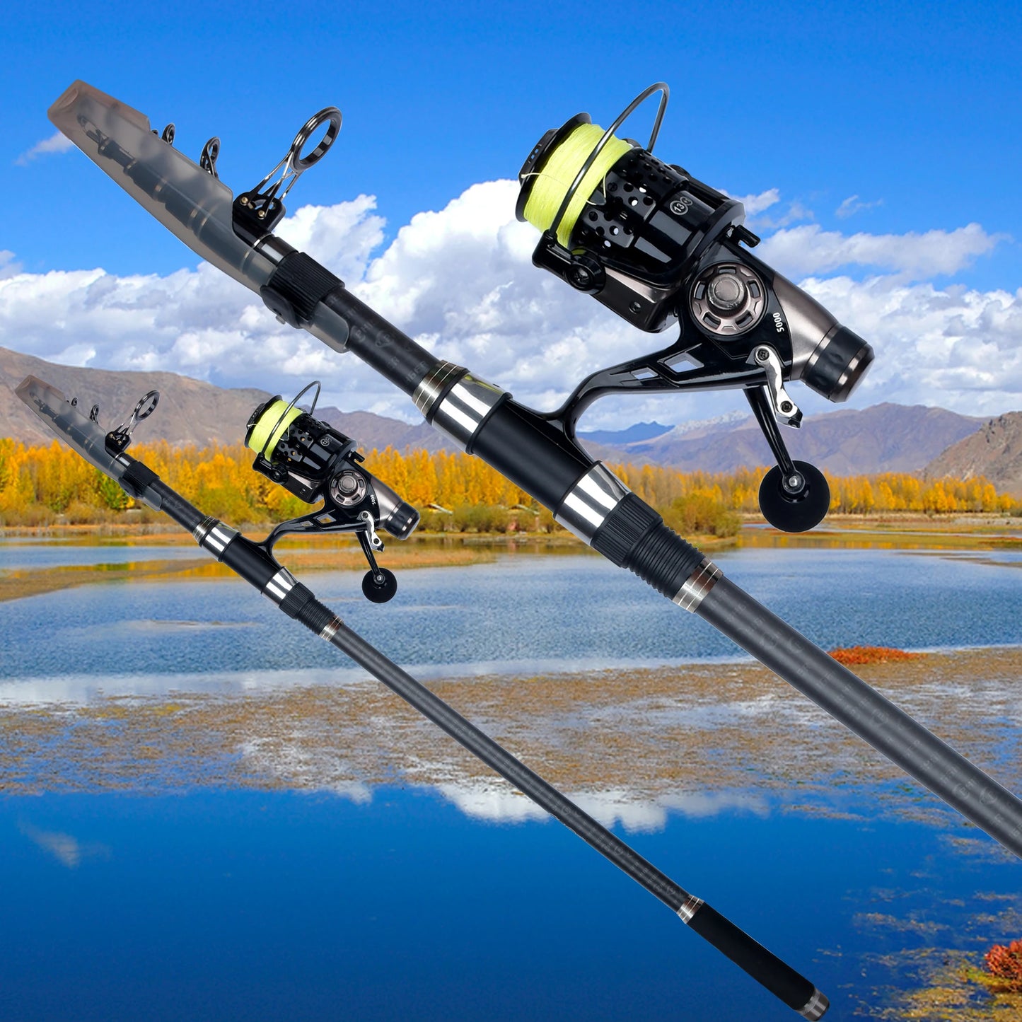 Spinning Rod