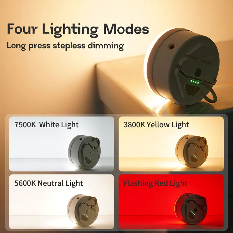 Outdoor LED Camping Light