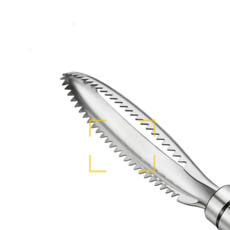 Stainless Steel Fish Scale Remover